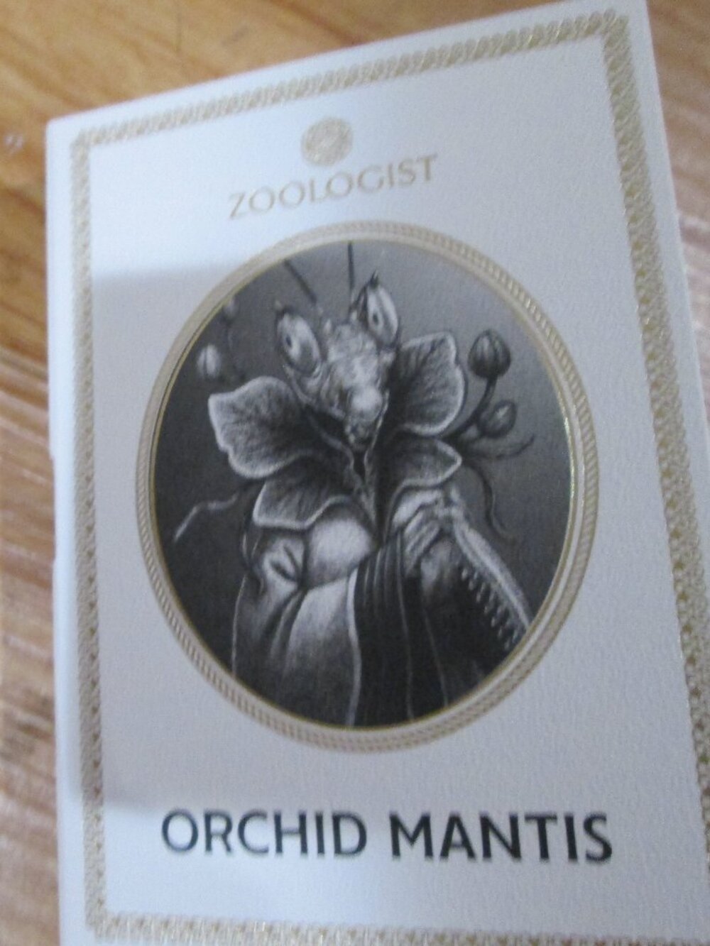 Orchid mantis zoologist sample carded